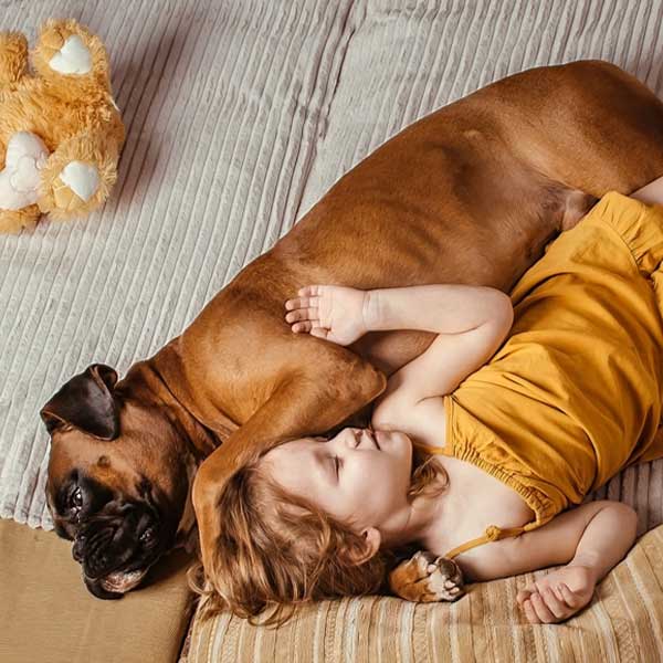 Οι 6 καλύτερες ράτσες σκύλων για παιδιά